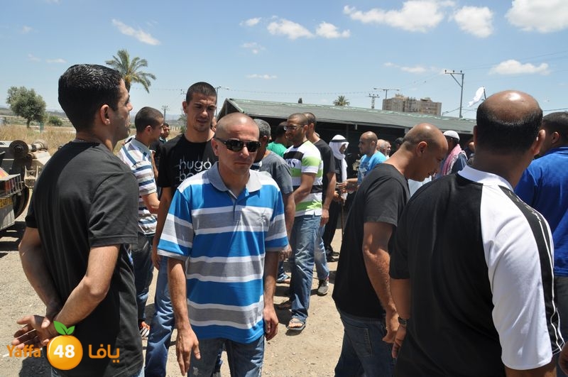 sol7desoqylud615 (57).JPG